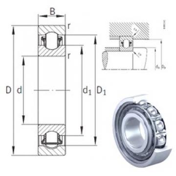 INA BXRE010 needle roller bearings
