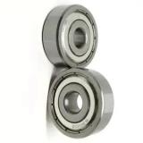 6201 2RS1 6604 Zz 6002 2RS1 6305 2RS1 6304 2RS1 SKF Bearing